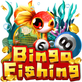 Câu Cá Bingo f1688s